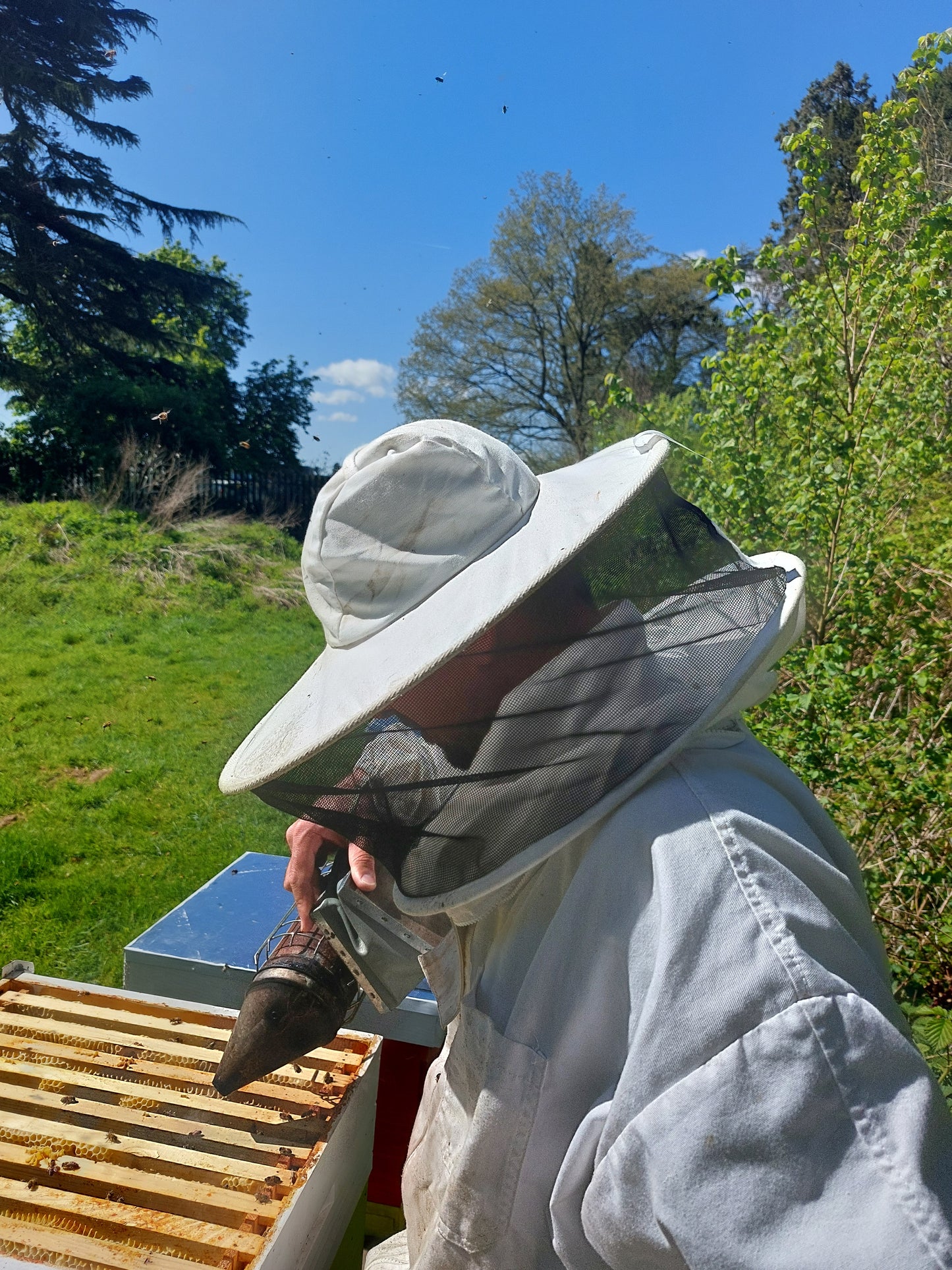 15 Lb Spring Honey Bucket